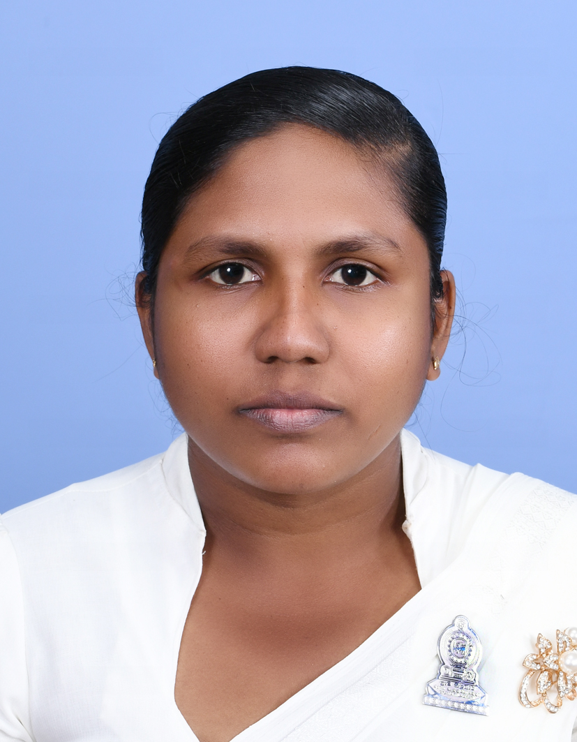 DSC 1247