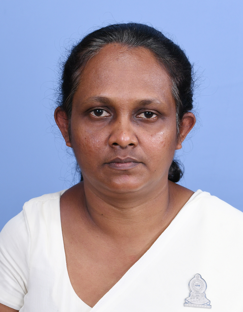 DSC 1254