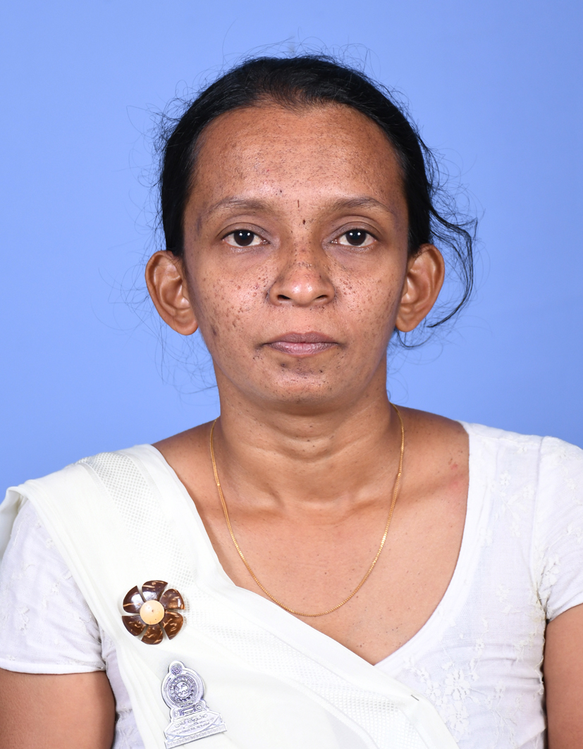 DSC 2786