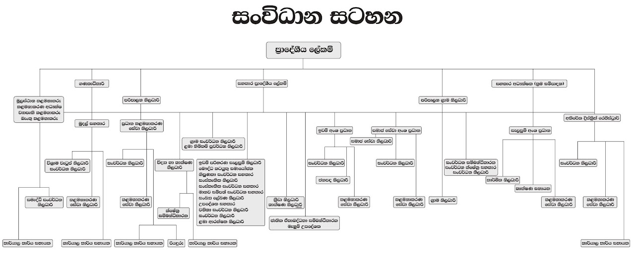 organization structure